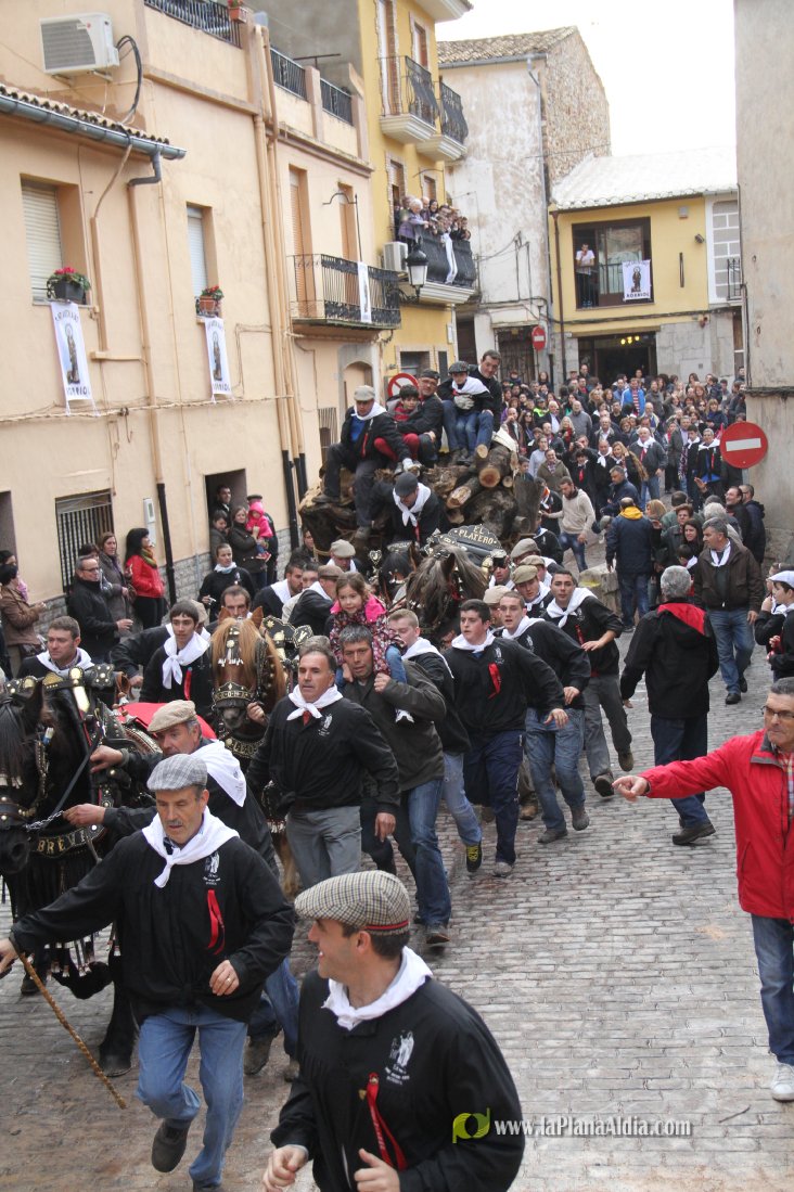 60.000 kilos de leña para la hoguera de Sant Antoni de Borriol