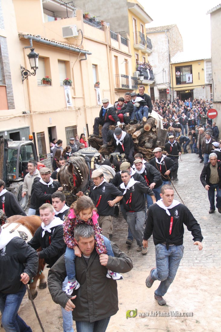 60.000 kilos de leña para la hoguera de Sant Antoni de Borriol
