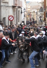 60.000 kilos de leña para la hoguera de Sant Antoni de Borriol