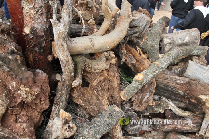 60.000 kilos de leña para la hoguera de Sant Antoni de Borriol