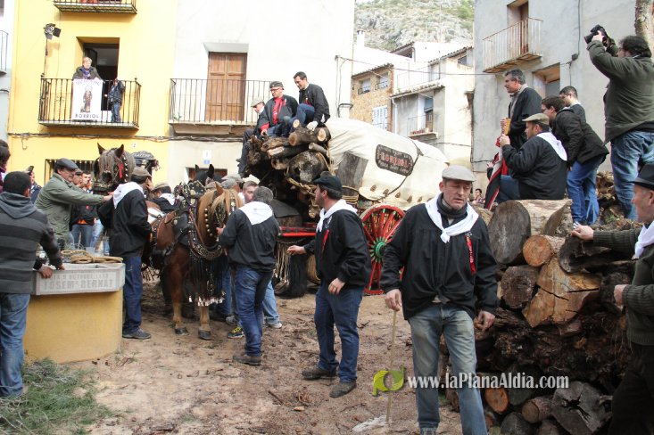 60.000 kilos de leña para la hoguera de Sant Antoni de Borriol