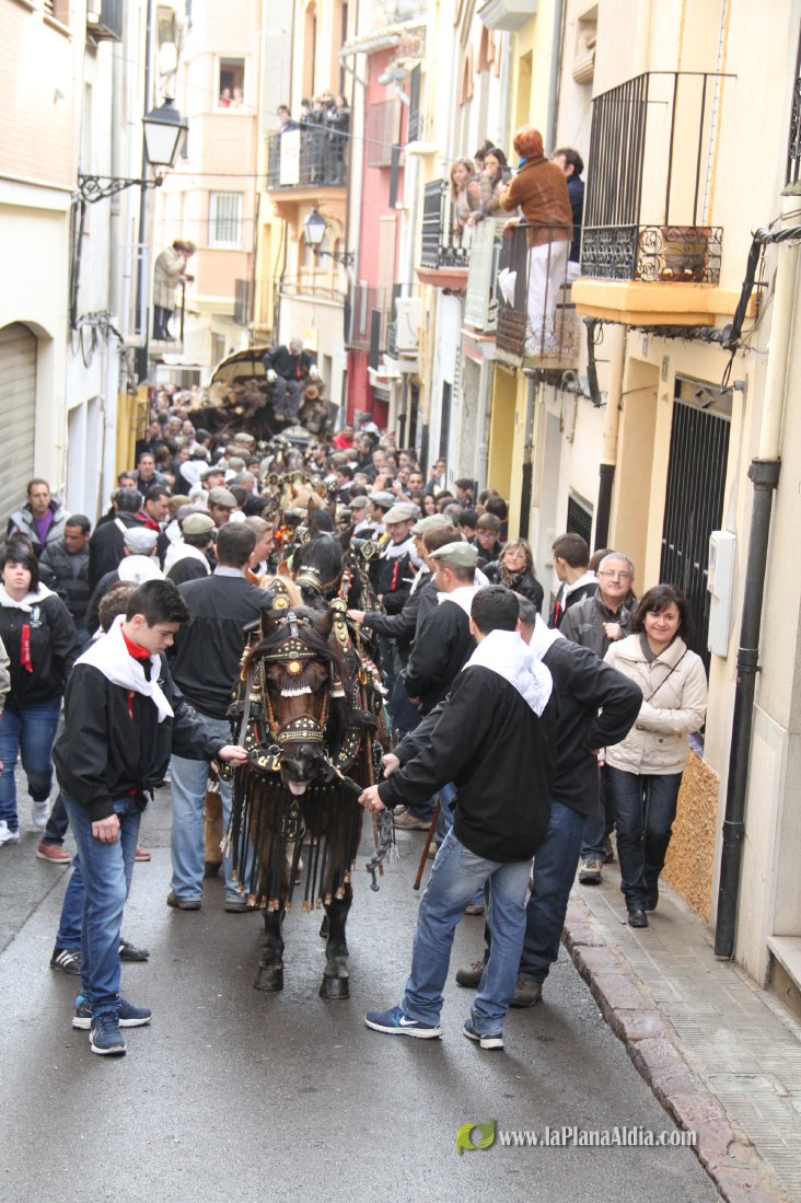 60.000 kilos de leña para la hoguera de Sant Antoni de Borriol