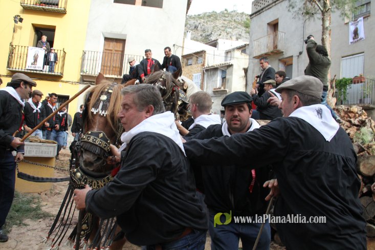 60.000 kilos de leña para la hoguera de Sant Antoni de Borriol