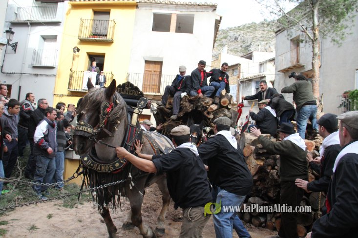 60.000 kilos de leña para la hoguera de Sant Antoni de Borriol