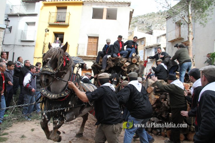 60.000 kilos de leña para la hoguera de Sant Antoni de Borriol