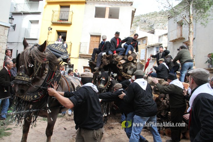 60.000 kilos de leña para la hoguera de Sant Antoni de Borriol