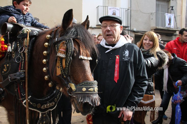 60.000 kilos de leña para la hoguera de Sant Antoni de Borriol