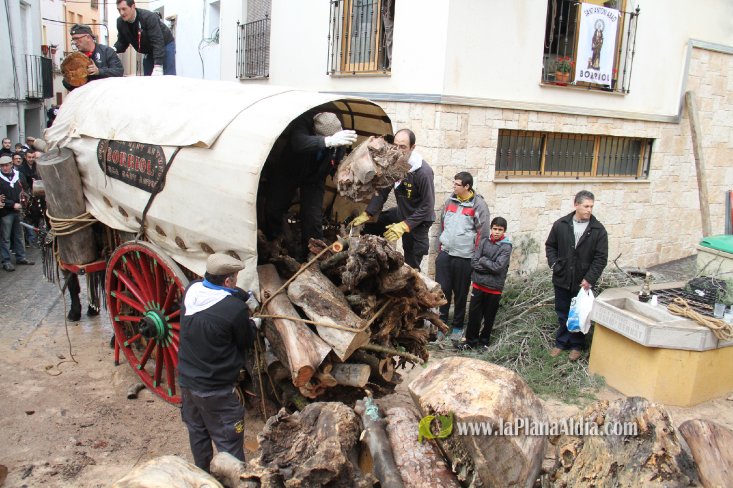 60.000 kilos de leña para la hoguera de Sant Antoni de Borriol