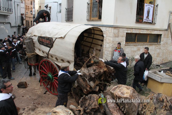60.000 kilos de leña para la hoguera de Sant Antoni de Borriol