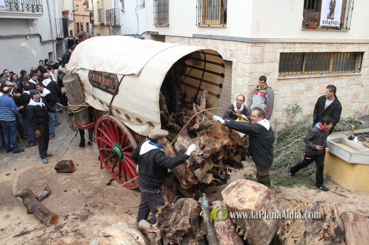 60.000 kilos de leña para la hoguera de Sant Antoni de Borriol