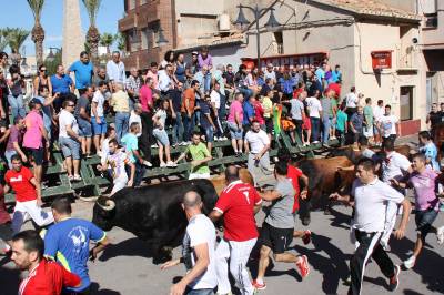 4000 personas llenan Les Alqueries con motivo del encierro de toros cerriles