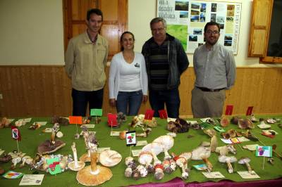 Vilafranca concluye las jornadas de setas con xito de participacin