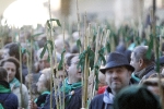 Participativa Romería de las cañas hasta la ermita de la Magdalena