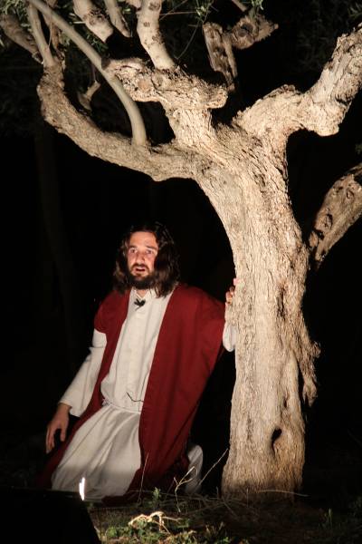 Fotografia /Galeria/2014/4/103499_55296/6_M1.jpg