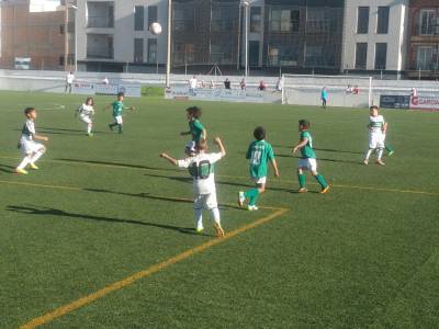 Fotografia /Galeria/2014/4/103546_55326/3_M1.jpg