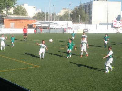 Fotografia /Galeria/2014/4/103546_55326/4_M1.jpg