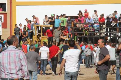 Fotografia /Galeria/2014/5/104193_55713/2_M1.jpg