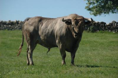 Fotografia /Galeria/2014/5/104379_55832/3_M1.jpg