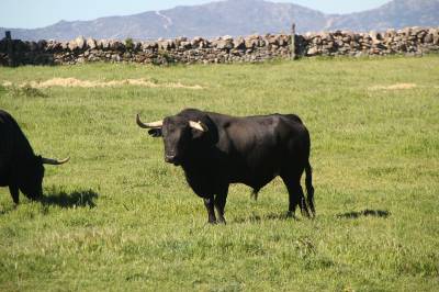 Fotografia /Galeria/2014/5/104379_55832/6_M1.jpg