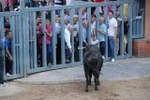 El toro hiere a un anciando y a un joven de 17 años en Vila-real