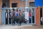 El toro hiere a un anciando y a un joven de 17 años en Vila-real
