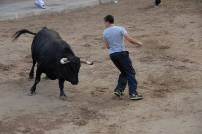 El toro hiere a un anciano y a un joven de 17 años en Vila-real