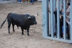 El toro hiere a un anciando y a un joven de 17 años en Vila-real