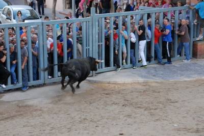 Fotografia /Galeria/2014/5/104760_56043/2_M1.jpg