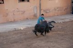 El toro hiere a un anciando y a un joven de 17 años en Vila-real