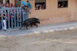 El toro hiere a un anciando y a un joven de 17 años en Vila-real
