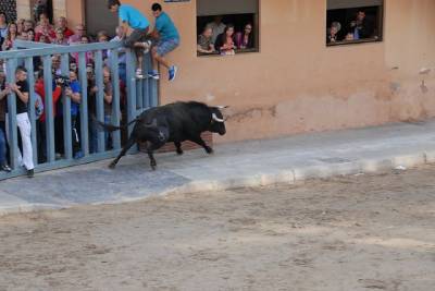 Fotografia /Galeria/2014/5/104760_56043/3_M1.jpg