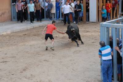 Fotografia /Galeria/2014/5/104760_56043/4_M1.jpg