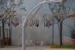 Vila-real muestra el fervor por Sant Pasqual
