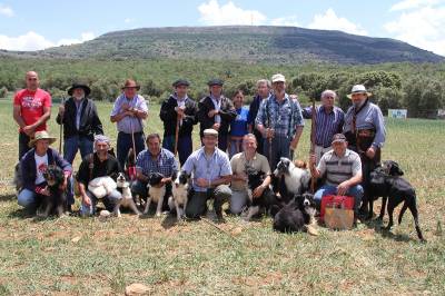 Ares acogi la novena edicin del concurso de perros pastores con 13 participantes
