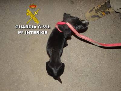 Fotografia /Galeria/2014/6/107383_57507/2_M1.jpg