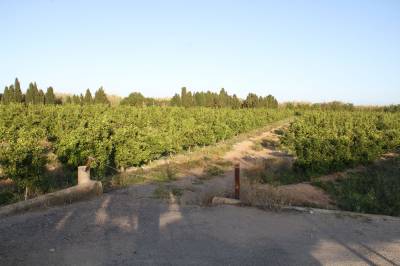 Fotografia /Galeria/2014/7/108929_58362/2_M1.jpg