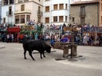 Sevillanas, l'Entrepit y la Ciclades, la desencajonada de toros y la decoración de mesas marcan la jornada del jueves en las fiestas de Vilafranca