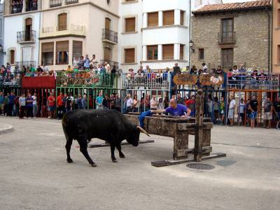 Sevillanas, l'Entrepit y la Ciclades, la desencajonada de toros y la decoracin de mesas marcan la jornada del jueves en las fiestas de Vilafranca
