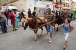 Sevillanas, l'Entrepit y la Ciclades, la desencajonada de toros y la decoración de mesas marcan la jornada del jueves en las fiestas de Vilafranca