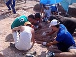 Fotografia /Galeria/2014/8/110110_59142/3_M1.jpg