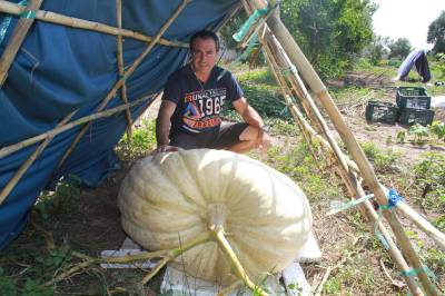 Fotografia /Galeria/2014/8/110253_59211/2_M1.jpg