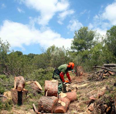 Onda solicita una ayuda a la Conselleria para realizar 8 contratos de mejora del entorno forestal 