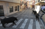 El segundo encierro de toros cerriles de Burriana se desarrolla sin incidentes