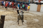 Lleno en Burriana en la jornada taurina del domingo