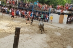 Lleno en Burriana en la jornada taurina del domingo