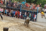 Lleno en Burriana en la jornada taurina del domingo