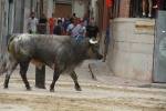 Lleno en Burriana en la jornada taurina del domingo