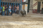 Lleno en Burriana en la jornada taurina del domingo