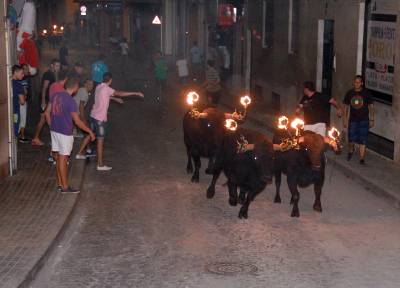 Fotografia /Galeria/2014/9/110995_59706/2_M1.jpg