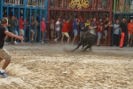 La Dehesilla y José Luis Pereda, los toros del miércoles